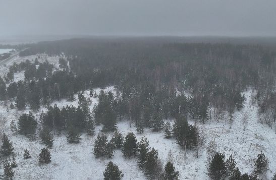 В Пензенской области беспилотник помог выявить 402 га неиспользуемых земель