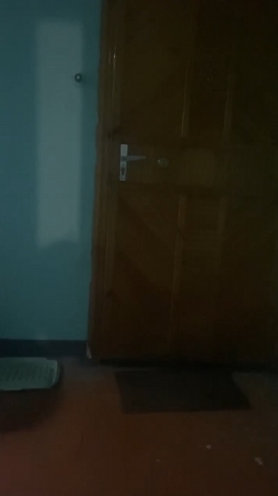 Попавшая в сеть семейная разборка в Пензе привела к реакции полиции