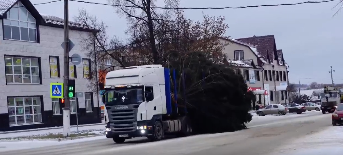 В Никольске установили новогоднюю елку высотой почти 20 метров