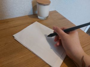 Поставщик игрового оборудования для детского сада в Пензе попал в черный список