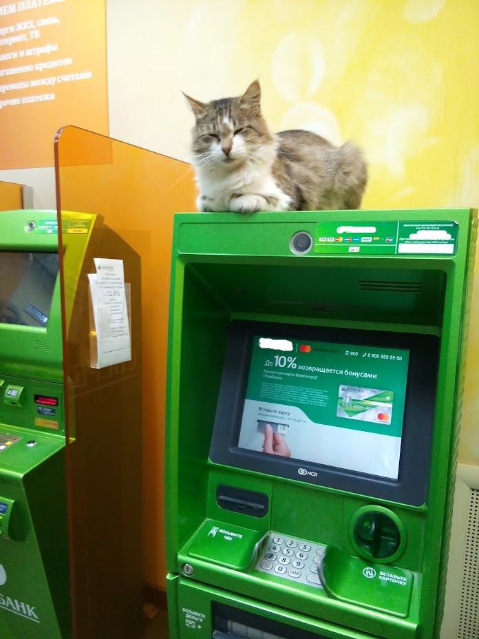 Жительницу Пачелмского района втянули в криминальную схему на автовокзале