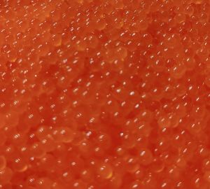 Стало известно, как изменилась стоимость разных видов икры