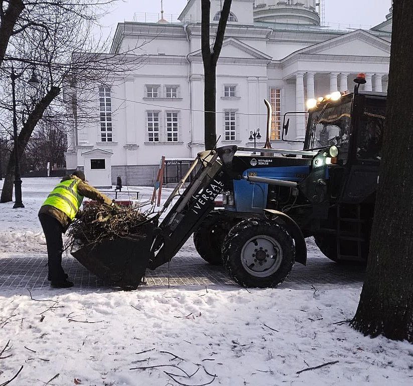 В Пензе продолжаются работы по обследованию и раскряжевке деревьев