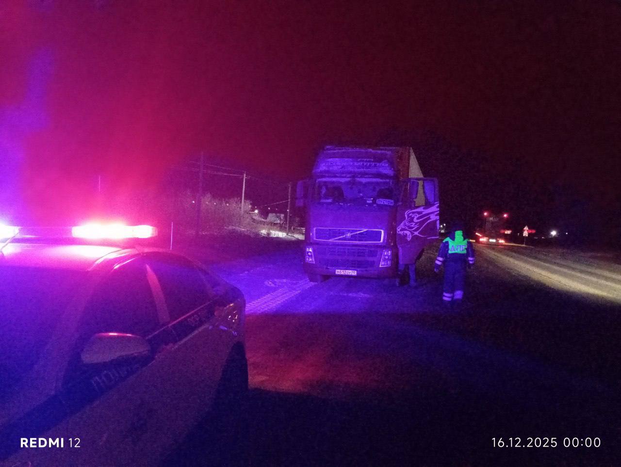 Пензенские автоинспекторы помогли дальнобойщику на федеральной трассе