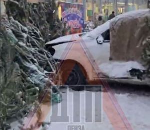 23 декабря в Пензе иномарка протаранила елочный базар