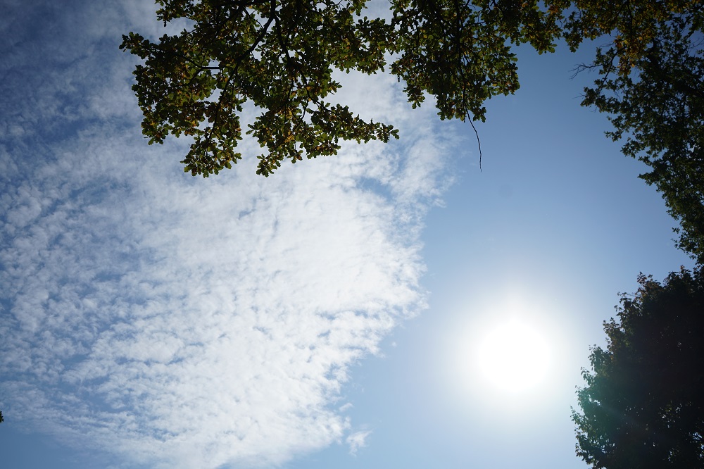 Пензенцы узнали о вероятности возникновения магнитных бурь 11 декабря 2025 года