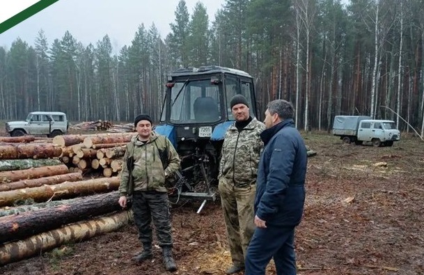 Пензенская область 58 патрулей направила на борьбу с лесными ворами