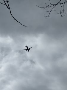 Стал известен список бюджетных направлений для отдыха в конце года