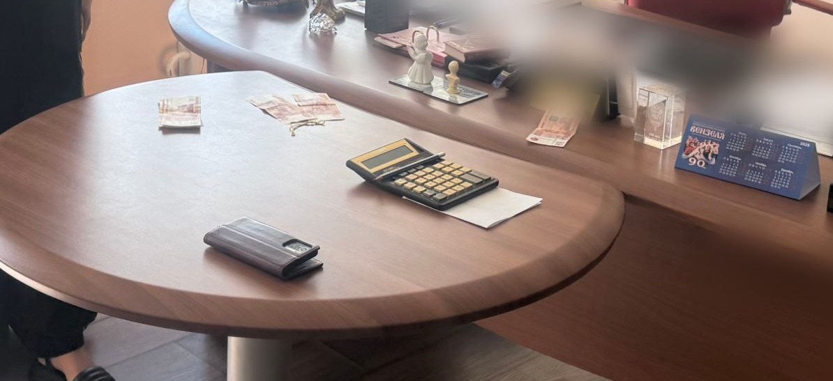 В Пензе завершено расследование дела Веры Фейгиной, ее ждет суд