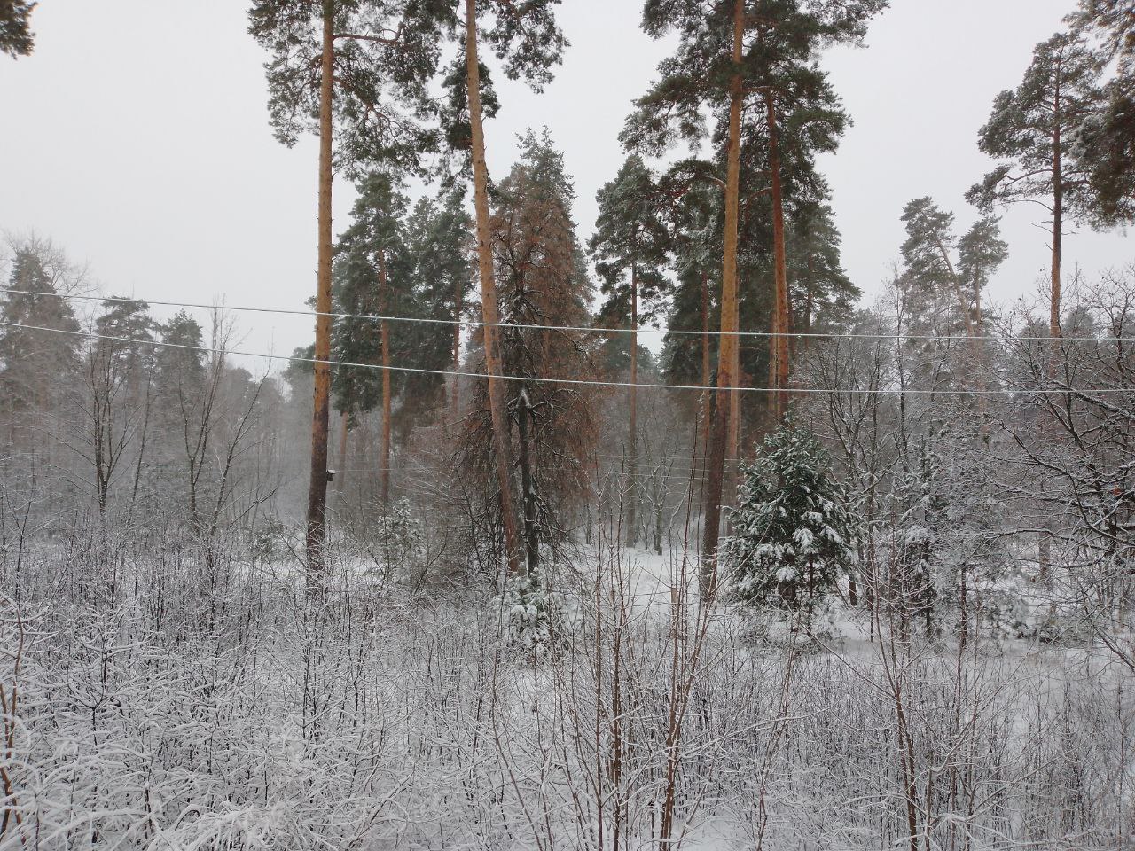 Погодный Армагеддон продолжится в Пензе в воскресенье 14 декабря