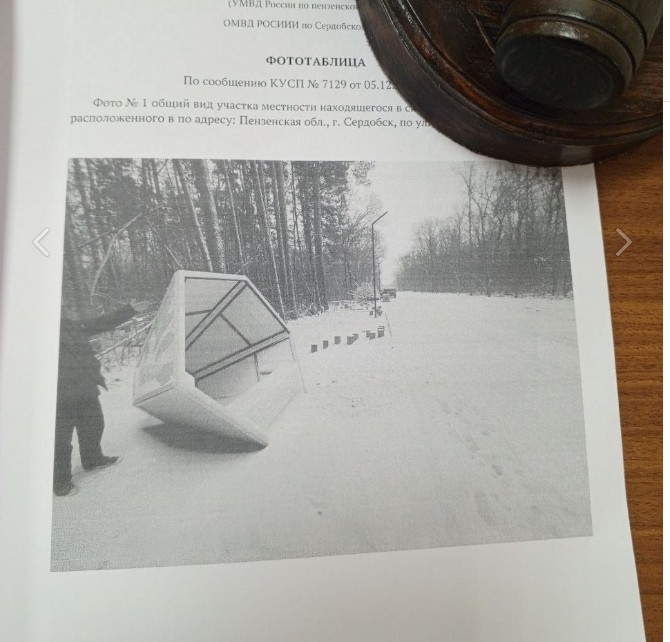 Сердобчане получили семь суток ареста за разгром уличных инсталляций