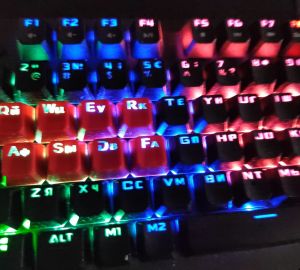 С сентября 2026 года в России планируют начать выплату зарплат в цифровых рублях