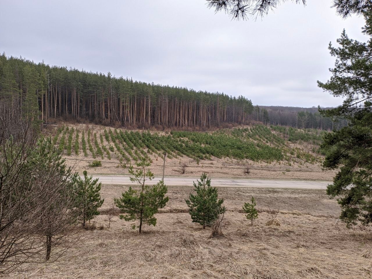 В Пензенской области открыли удивительный памятник героям ВОВ на вершине горы