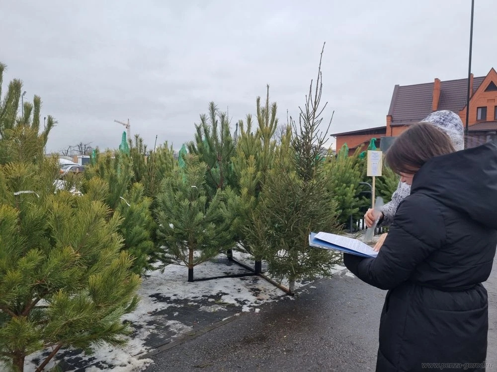 В Пензе на Суворова, Бекешской, Пушкина и 8 Марта проверили елочные базары