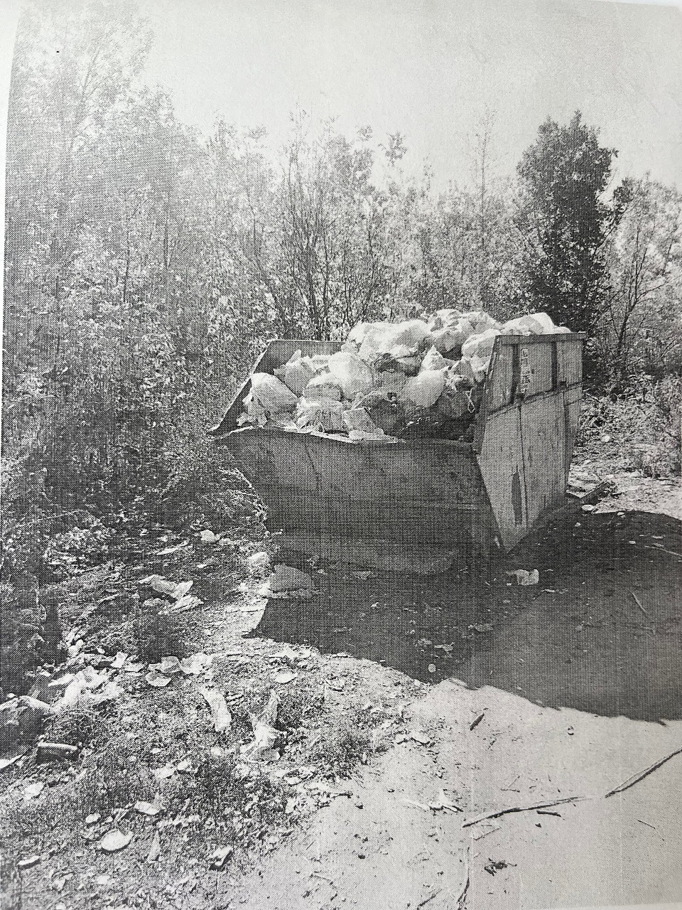 Суд обязал администрацию Спасска заняться вопросом вывоза мусора