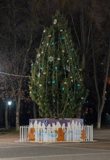 На Соборной площади Пензы засияла новогодняя ёлка