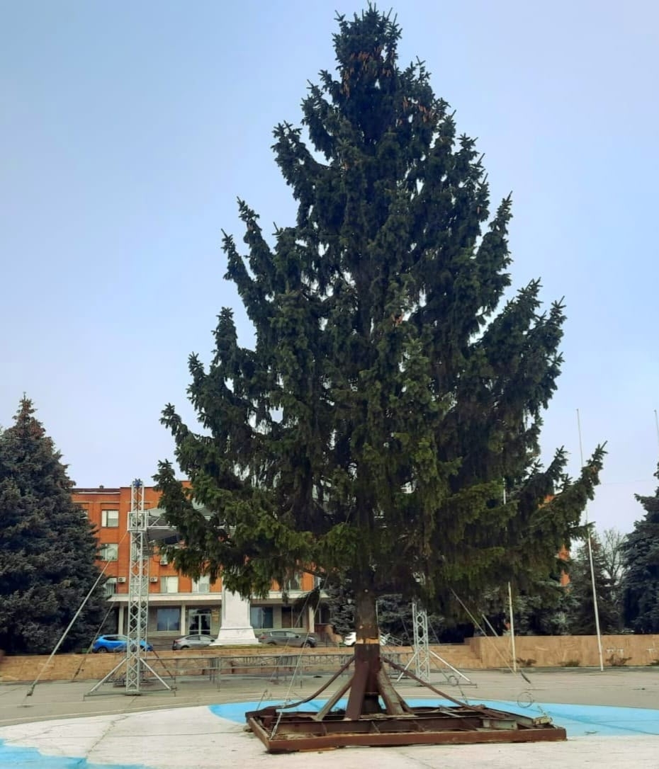 В Сердобске на центральной площади установили новогоднюю елку