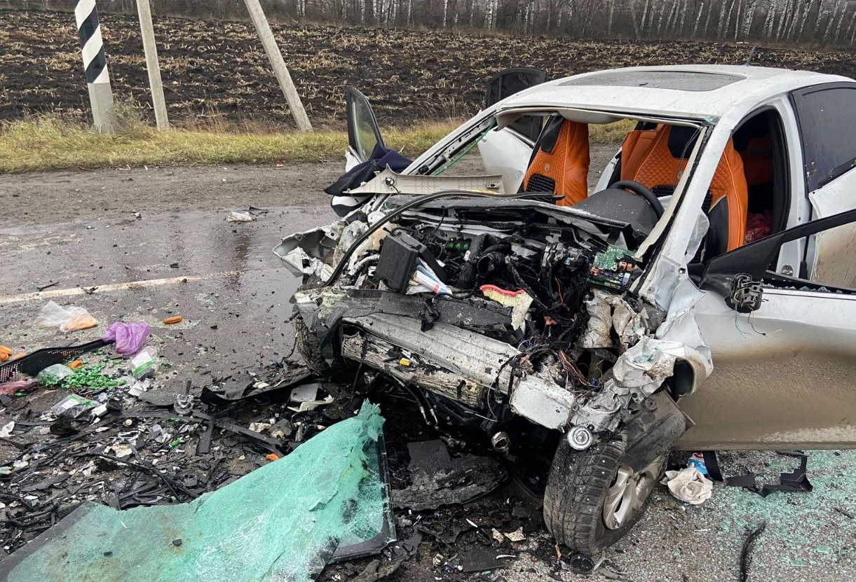 Стало известно, кто погиб в жутком ДТП на М5 в Нижнеломовском районе