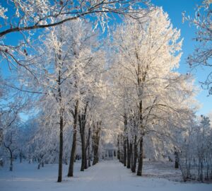 В Тарханах объявили акцию по восстановлению Дальнего сада XVIII века