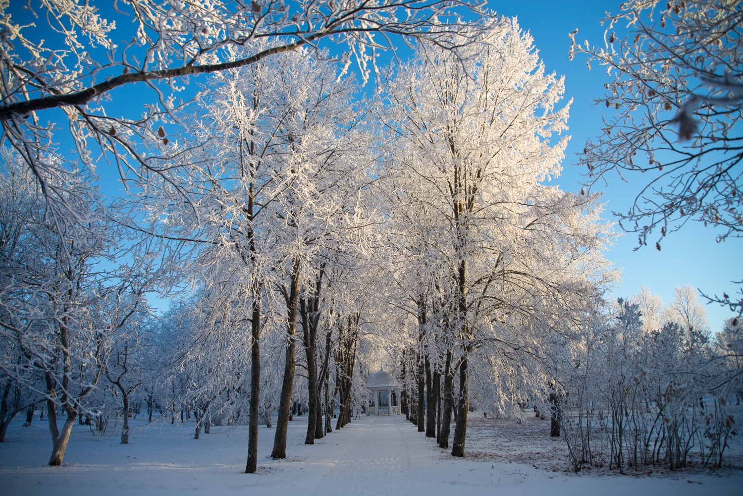 В Тарханах объявили акцию по восстановлению Дальнего сада XVIII века