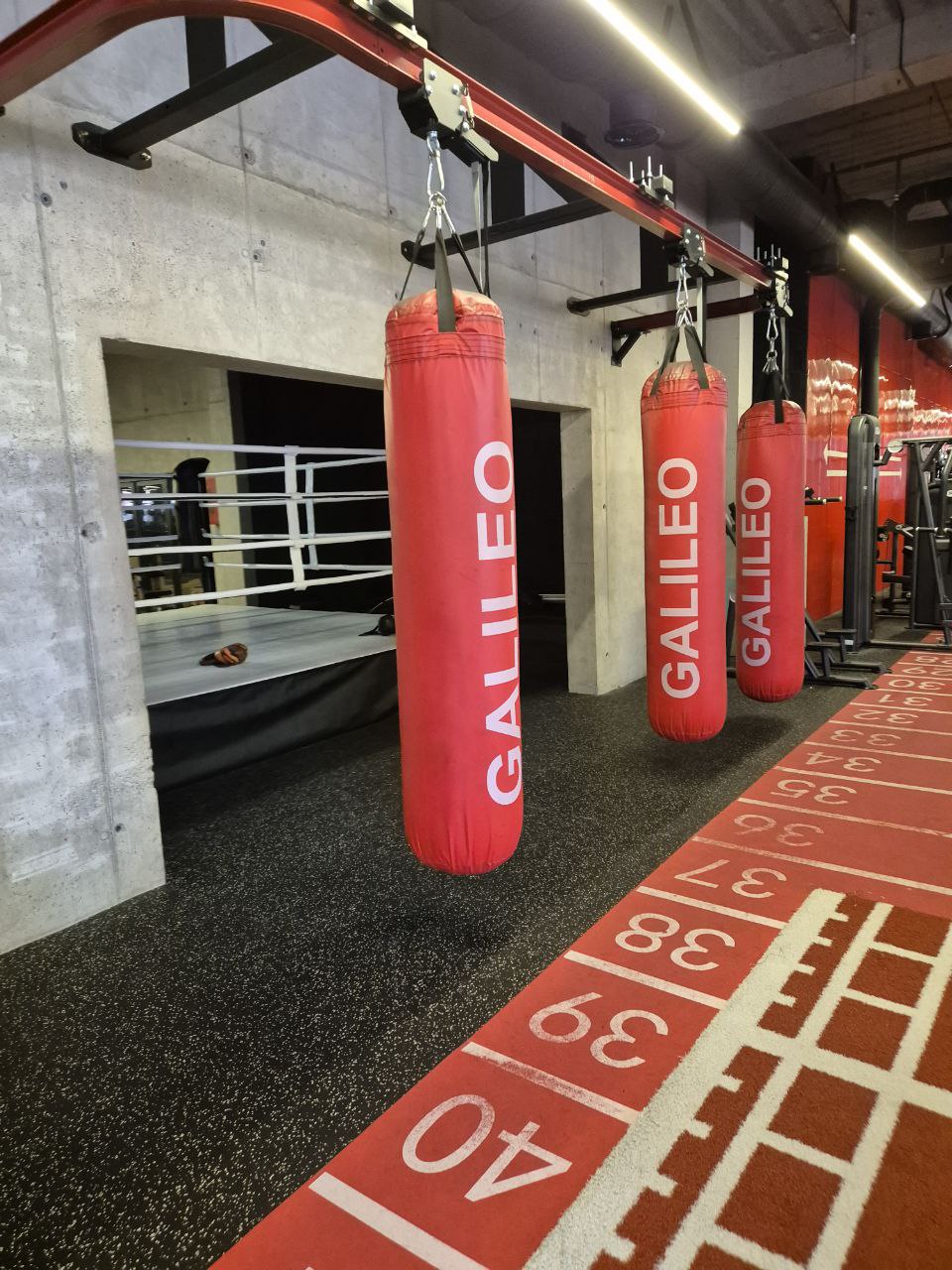 Какие виды спорта наиболее популярны среди жителей Пензенской области