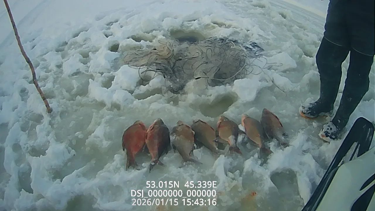 В Пензенской области у рыбаков отобрали 33 килограмма улова