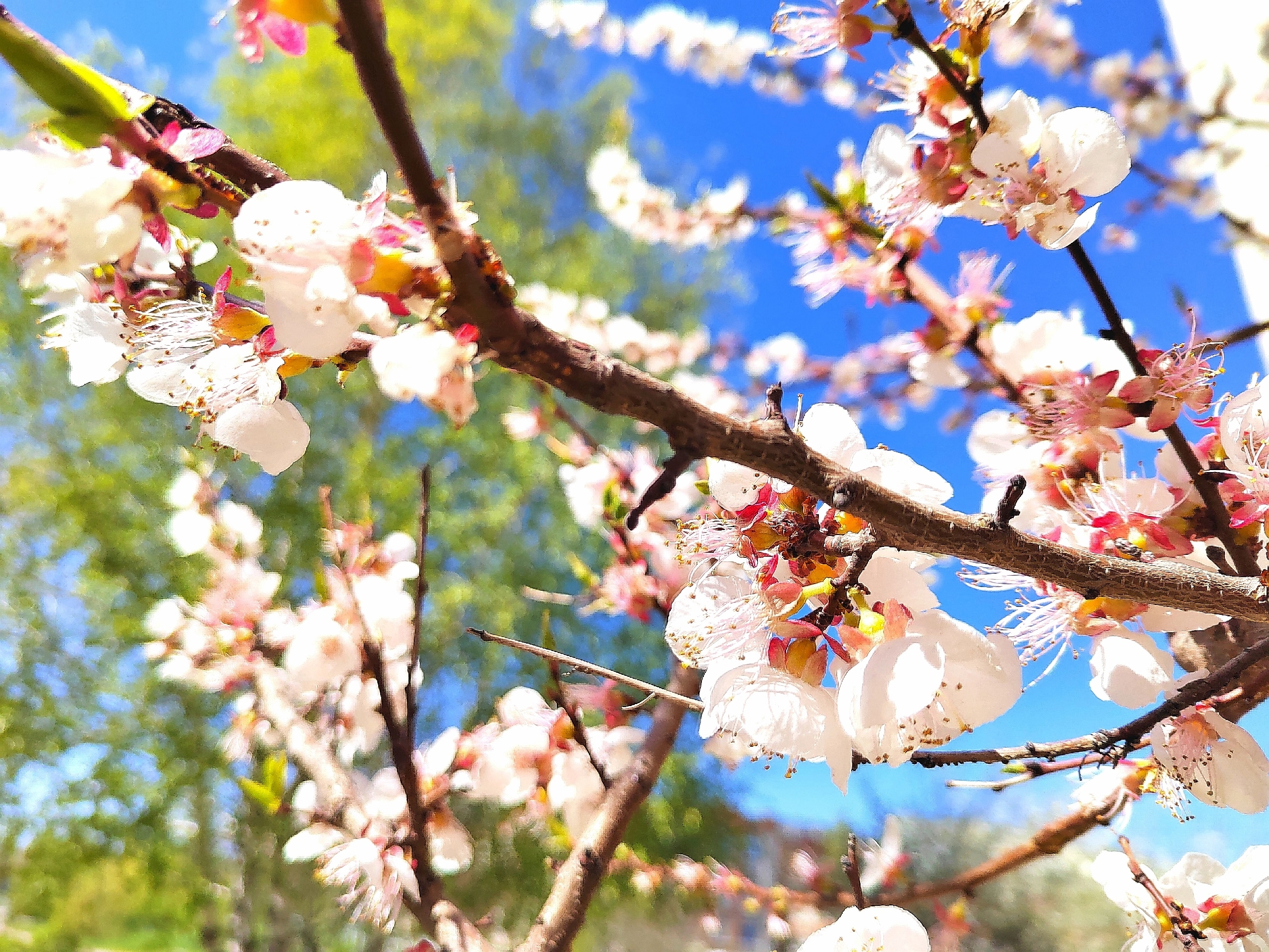Весна в Пензенской области может начаться ужен в феврале 2026-го