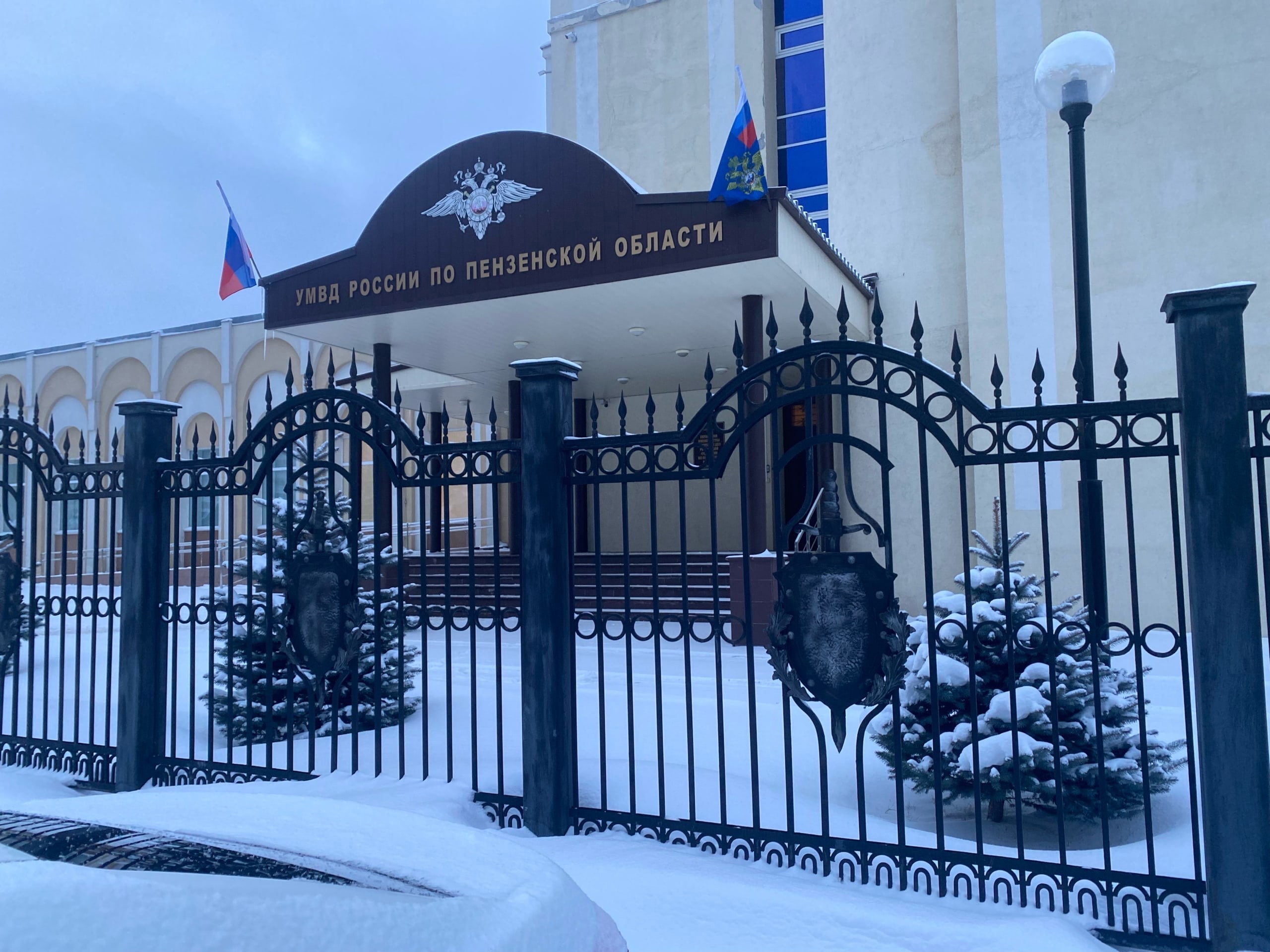 В Пензенской области за год иностранцы совершили почти 200 преступлений