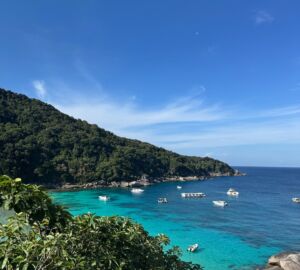 Российские туристы массово выбирают ОАЭ и Турцию вместо Европы