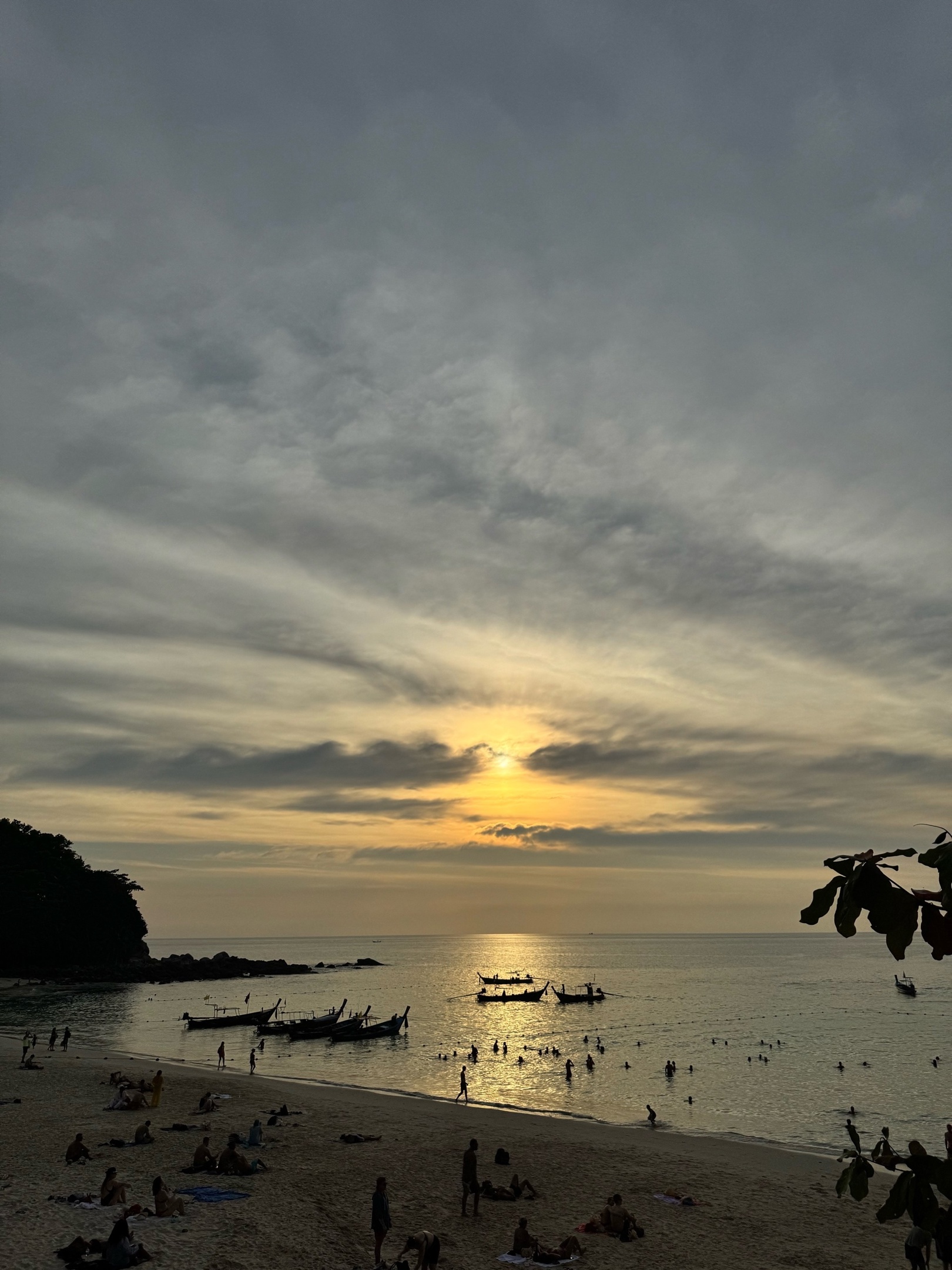 В Хургаде закрыли пляжи из-за появившейся у берега акулы