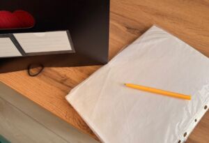 В Пензенской области учредят ордена в честь Ермина, Бочкарева и Мясникова