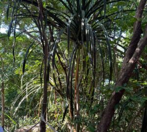 Марокко становится новой альтернативой Дубаю для туристов