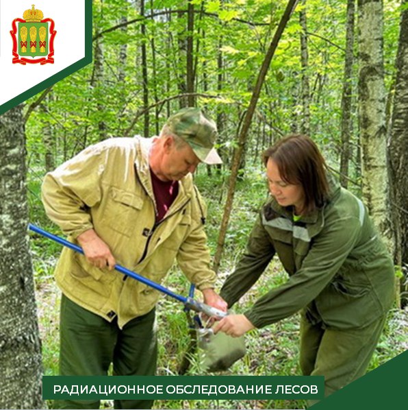 В Лунинском районе земля оказалась чиста от радиации