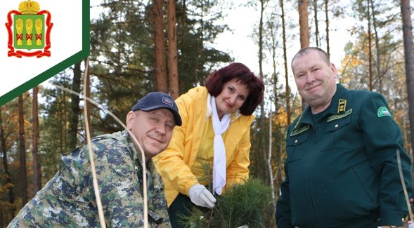 В Пензенской области высадили более 2 млн сосны, березы и дуба