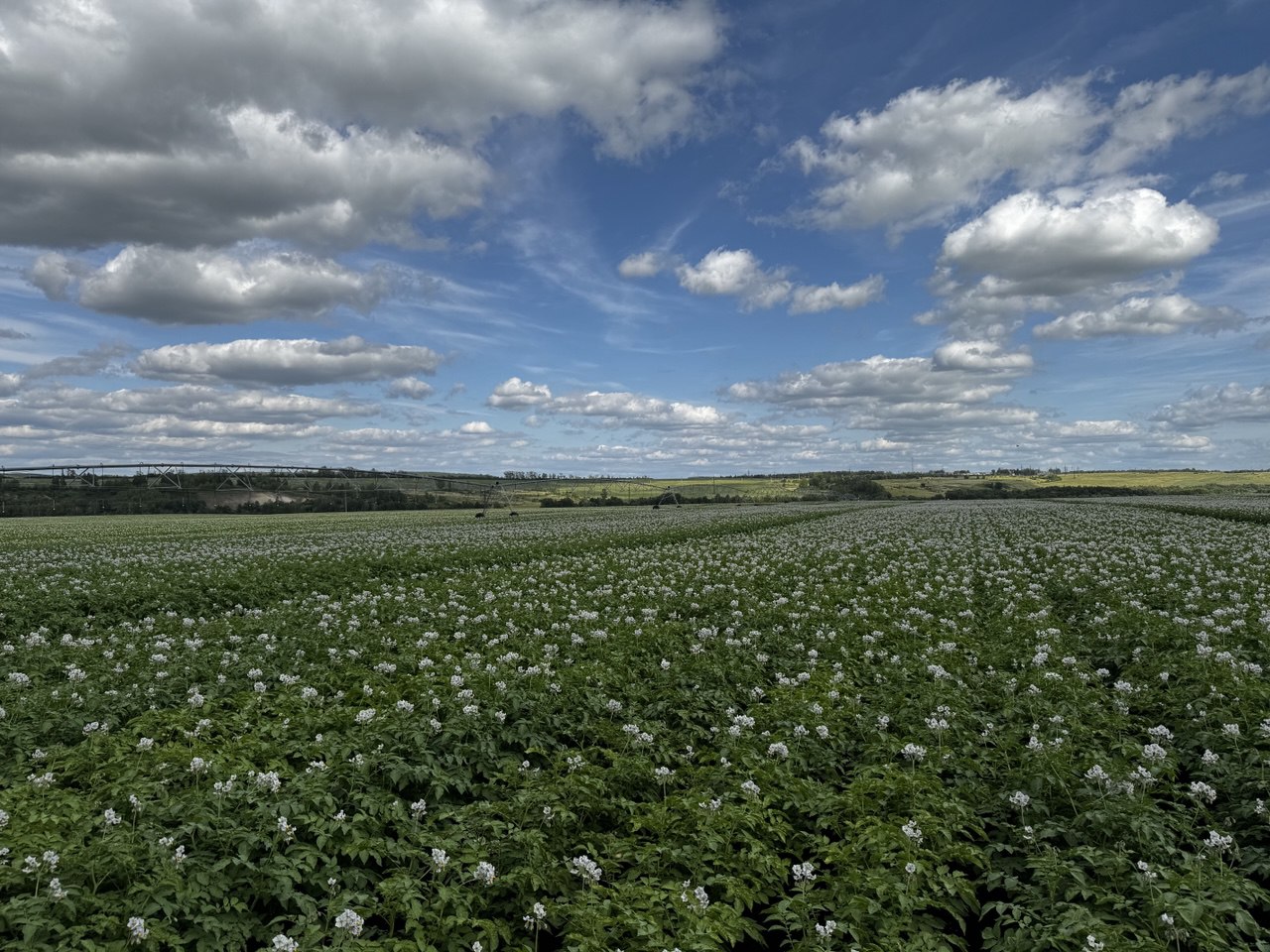 Как соцконтракты помогли 44 тысячам жителей Пензенской области