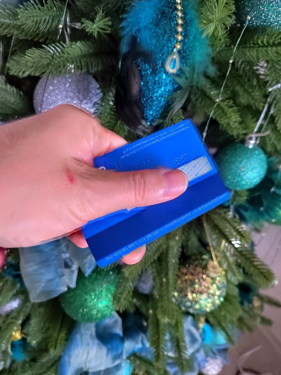 Названы страны, в которых свободно можно расплачиваться российской картой