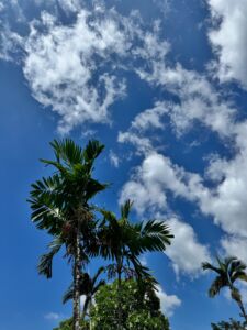 Туристы на Бали смогут посетить карнавал перед тем, как остров затихнет