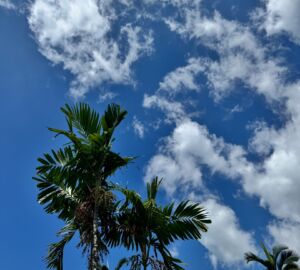 Отдохнуть в Турции в феврале 2026 года стало дешевле, чем в Египте