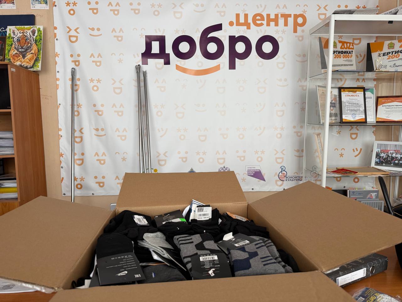 В театрах и библиотеках Пензы открылись пункты сбора вещей для бойцов СВО