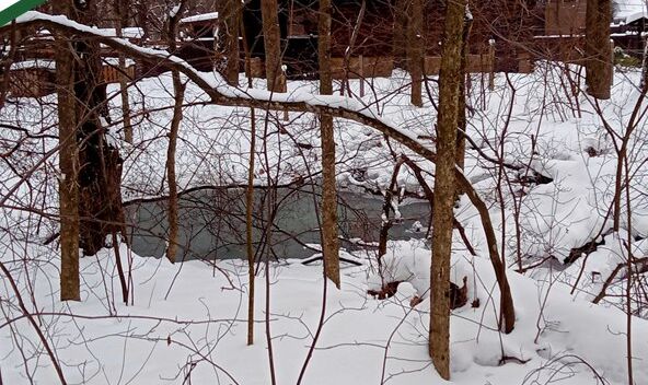 Житель пензенской Зари устроил свалку из битых кирпичей на городской земле