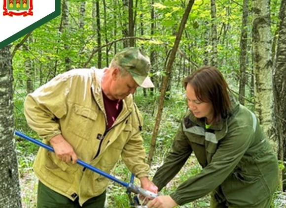 В Пензенской области обследовали 3 тысячи гектаров леса на уровень радиации