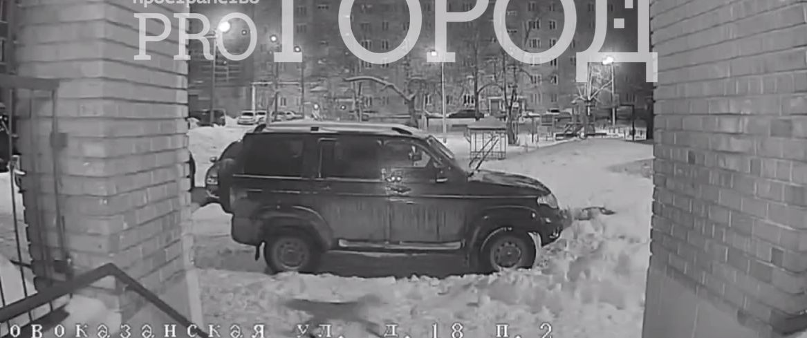 В Пензе ночью 7 января лисы устроили догонялки на горке