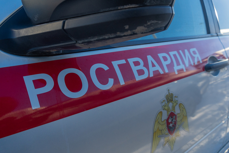 В Пензе посетитель ресторана устроил драку, уселся на пол и отказался уходить