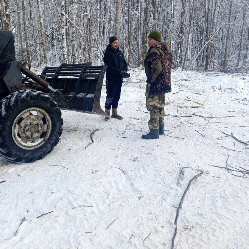 С начала года в Пензенской области выявили 24 нарушения лесного законодательства