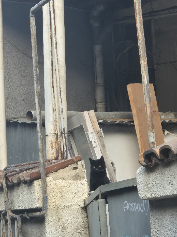 В Пензе пенсионерке обещают помочь устранить опасную наледь у газовой трубы