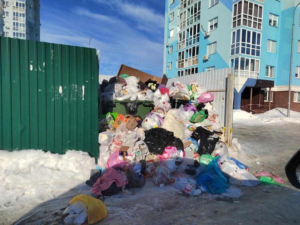 Пенза столкнулась с мусорным кризисом на фоне непогоды