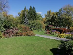 Ботанический сад в Пензе закроют для свободных прогулок