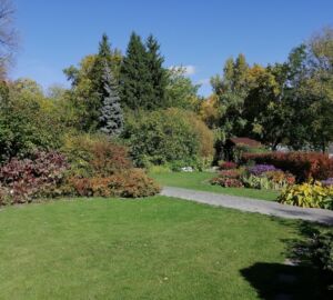 Ботанический сад в Пензе закроют для свободных прогулок