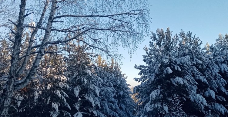 В Пензенской области к пожароопасному сезону готовят 169 спецмашин