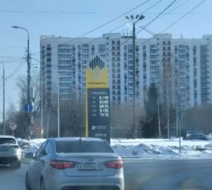 На трассе М5 Урал неизвестный водитель сбил животное и скрылся